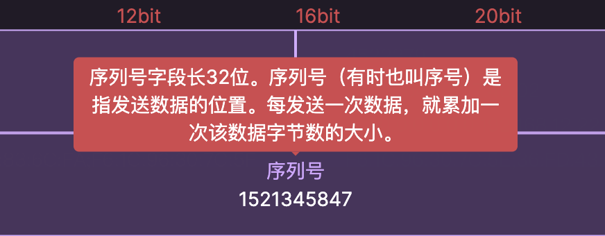 tcp协议数据包数据结构